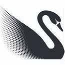 Black Swan International